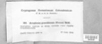 Image Associated With the Occurence
